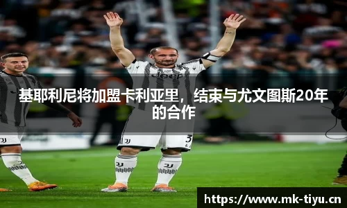 mk体育平台