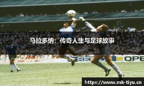 mk体育官网