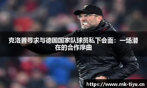 mk体育官网
