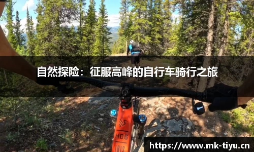 mk体育官方网站