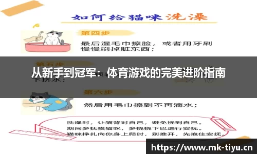 mk体育官网